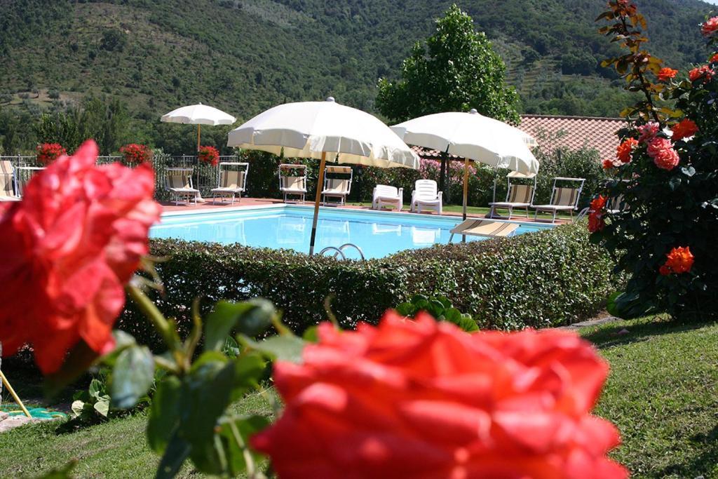 Agriturismo Cortoreggio Кортона Экстерьер фото