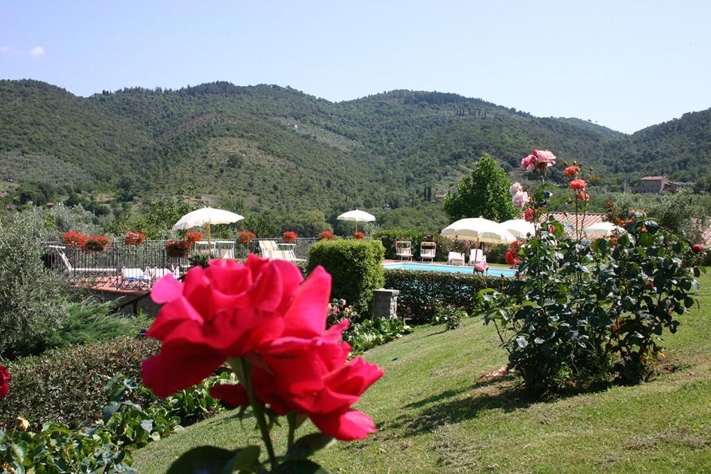 Agriturismo Cortoreggio Кортона Экстерьер фото