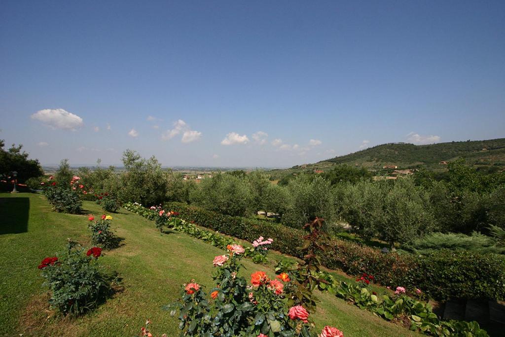 Agriturismo Cortoreggio Кортона Экстерьер фото