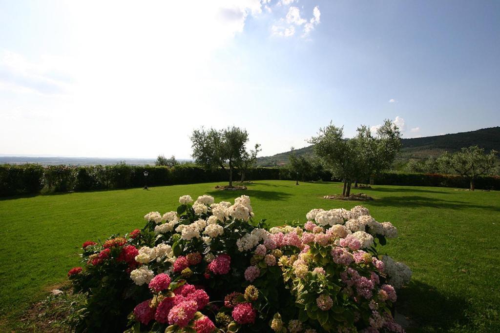 Agriturismo Cortoreggio Кортона Экстерьер фото